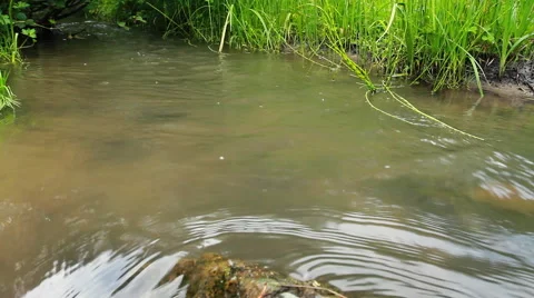 Wild  River. Stock-Footage 40340546