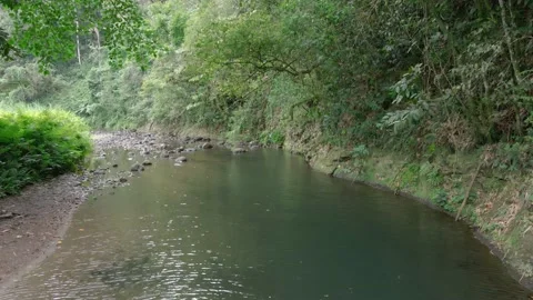 Wild river Stock Footage 205292037