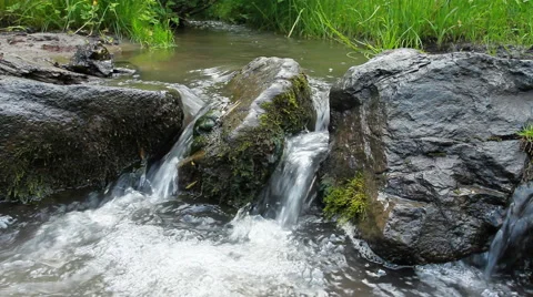 Wild River In Forest Stock-Footage 40329095