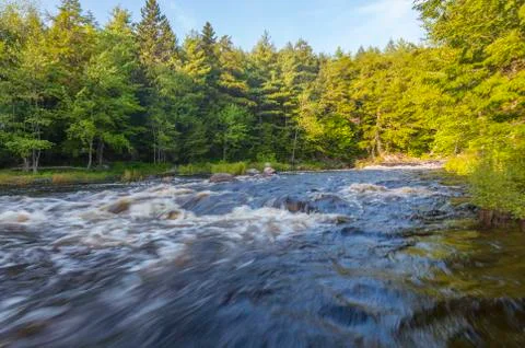 Wild river in forest Stock Photos