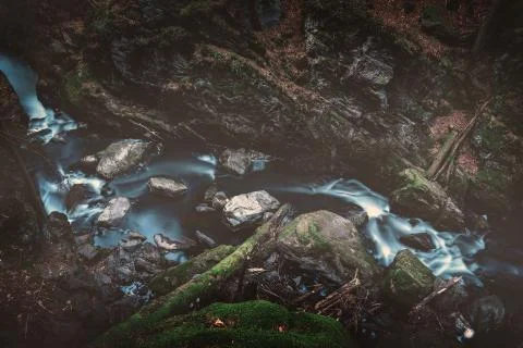 Wild river in forest Stock Photos
