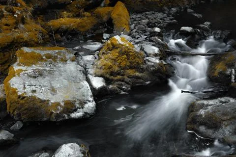 Wild river in forest Foto stock