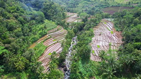 Wild river in Kulon Progo mountains, Yogyakarta, Java island, Indonesia Stock Footage 340239991