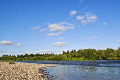 Wild river landscape. Stock Photos