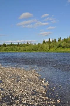 Wild river landscape. Stock Photos