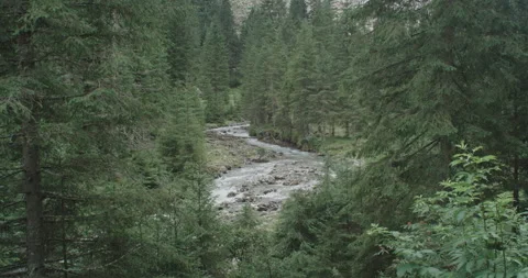 Wild River Meandering In A Hidden Valley In The Austrian Alps Video stock 229085778