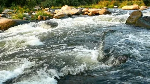 Wild river mountain nature Vídeos de archivo 80806770