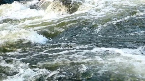 Wild river mountain nature Stock-Footage 80807549