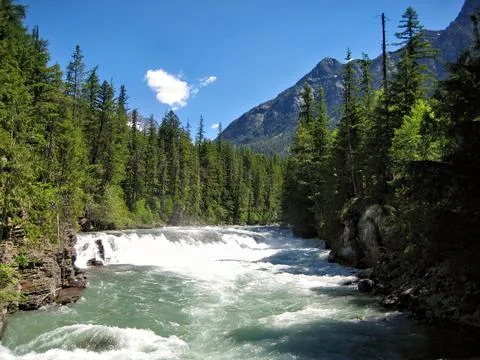 Wild River with Mountain Peak Background and Pine Forest Stock Photos