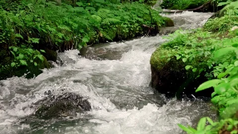 Wild river in mountain valley Stock-Footage 109226541