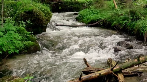 Wild river in mountain valley Stock-Footage 109226587