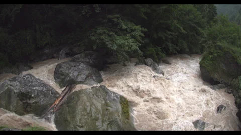A wild river in the mountains Stock Footage 290833524