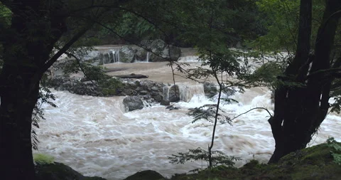 A wild river in the mountains Stock Footage 291516155