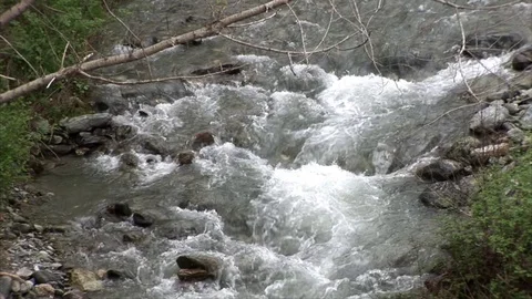 Wild river in a nature Stock Footage 84792913