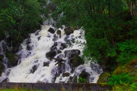 Wild river Stock Photos