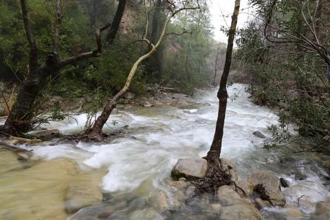 Wild River 스톡 사진