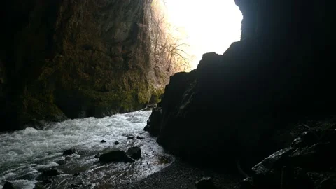 Wild river Rak flowing in Weaver Cave entrance, Rakov Skocjan Stock Footage 150398140