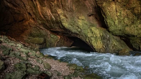 Wild river Rak flowing in Weaver Cave entrance, Rakov Skocjan Stock Footage 150398627