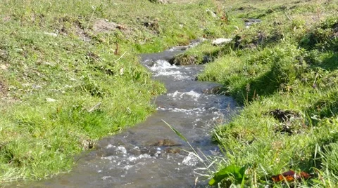 Wild river with rapids 02 Stock Footage 53322007