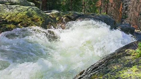 Wild river rapids cascading over granite rocks in a green forest, foamy Stock Footage 334639203