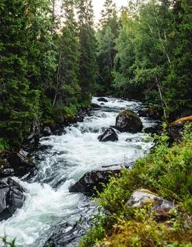 Wild river rapids flowing through green forest symbolizing power of nature Stock Photos