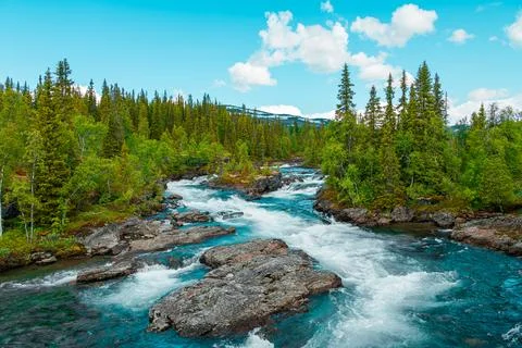 Wild river with rapids in the Scandinavian forest - clear mountain nature w.. Stock Photos