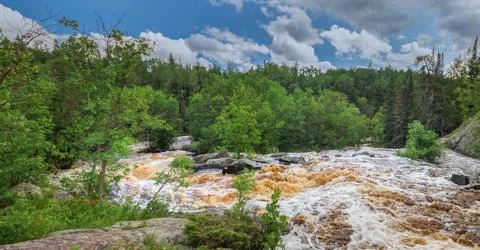 Wild River Rapids Through Lush Forest Stock Photos