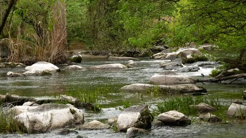 Wild river with rocks Stock Footage 81190020