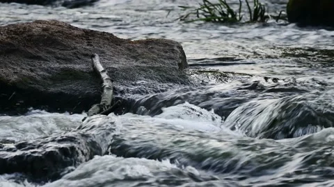 Wild river with rocks in the rapids, summer Stock Footage 196299337