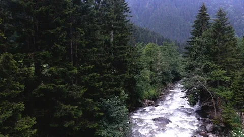 Wild river running in the forest Stock Footage 95930365