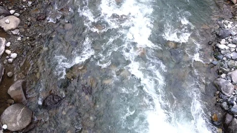 Wild river running in summer time Stock Footage 95930835