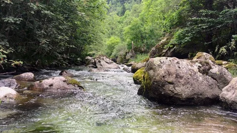 Wild river with stones Stock Footage 119018670