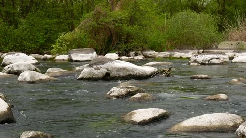 Wild river stream and rocks Stock Footage 81189257