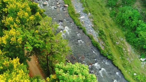 Wild river stream in the mountain forest. River in the mountains. Stock Footage 246408008