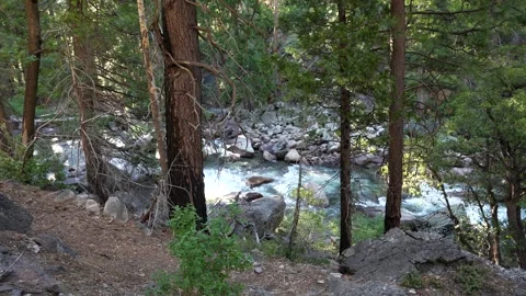 Wild River stream in a Mountains Stock Footage 242025261