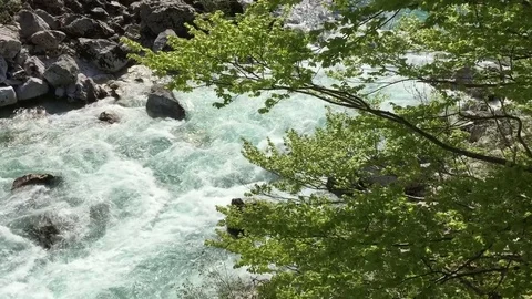 Wild river strong current Stock Footage 82350446