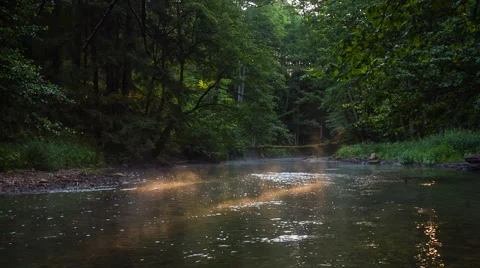 Wild river in summer forest 스톡 동영상 58697013