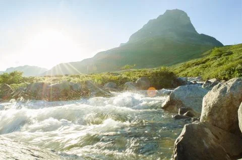 Wild river sun Stock Photos