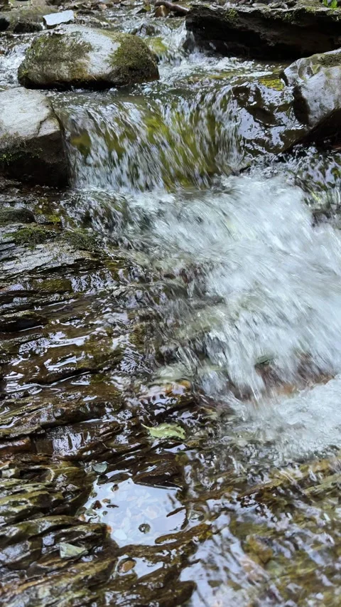 Wild river waterfall in forest. Water flows over the rocks in the mountain 스톡 동영상 316525765