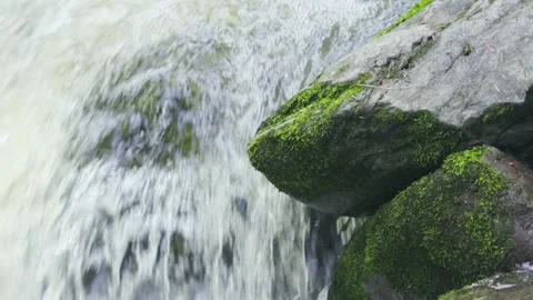 Wild river waterfall in mountain forest Stock Footage 278020604