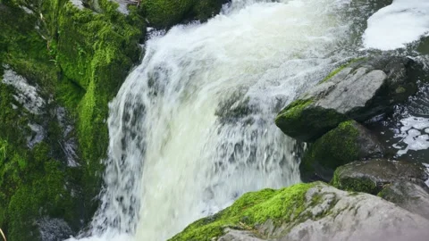 Wild river waterfall in mountain forest 스톡 동영상 278020835