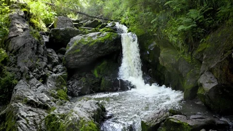 Wild river waterfall in mountain forest Stock Footage 278020891