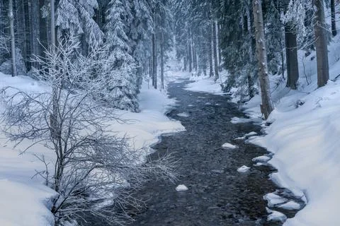Wild river winds through frozen forest. Mysterious winter evening in Carpathians Stock Photos