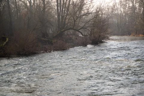Wild river in winter with bare trees on the bank Stock Photos