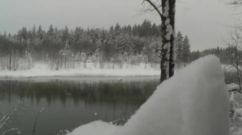 Wild river winter tree with branches covered with snow vertical panorama Stock Footage 45882689