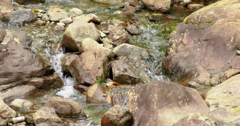 Wild rivers flowing water dramatic nature bright water riverside mountain Stock Footage 278608595