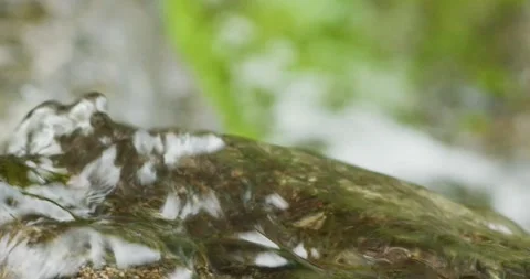 Wild rivers, slow, motion, flowing water, clear water, dramatic nature, Stock Footage 278375582