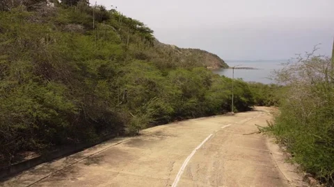 Wild road shots 60 FPS Stock Footage 310475025