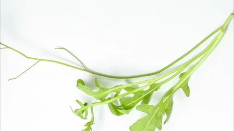 Wild Rocket Leaf Herb fragrant seasoning salad on white background Stock Footage 132386868