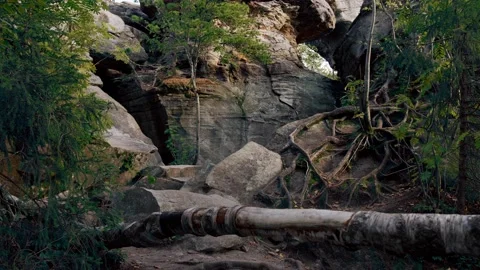 Wild rocks in the forest Stock Footage 140972974